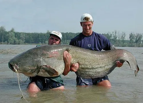 20040630_vis2.webp