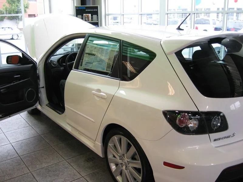 20085ms3006.jpg
