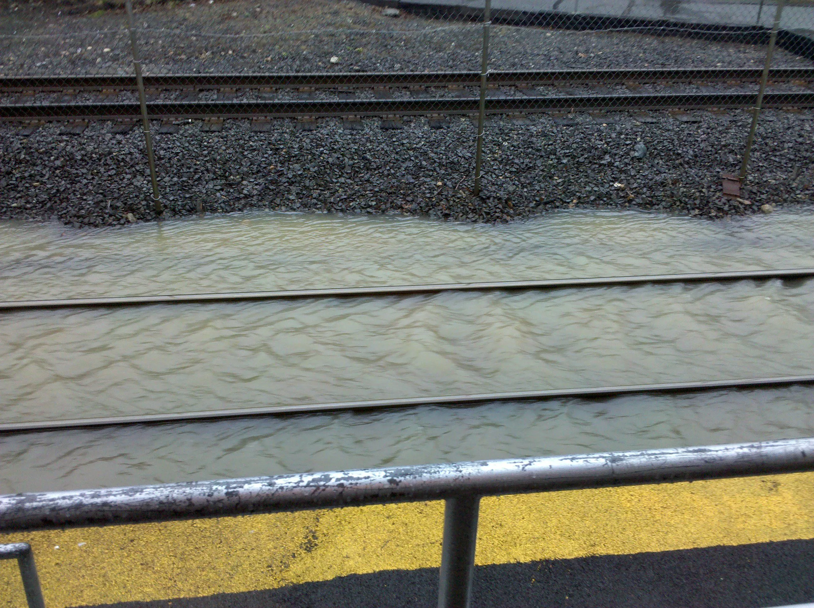 2010-03-30 15.29.08.webp