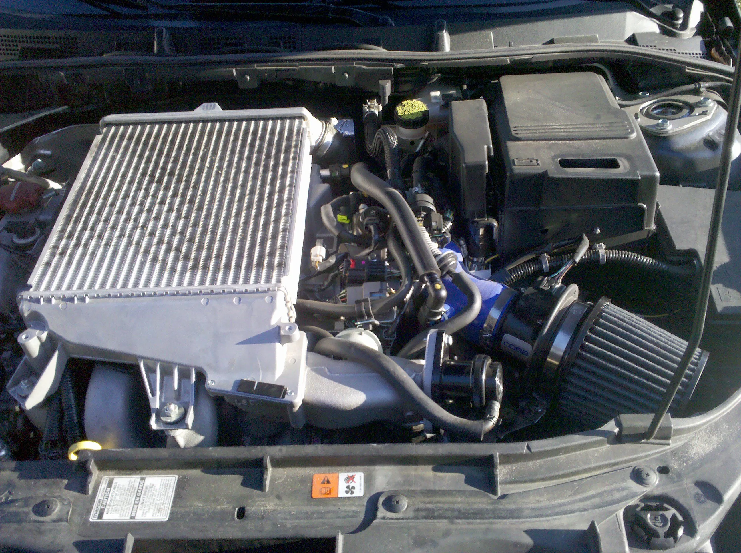 2010-04-10 08.16.56.jpg