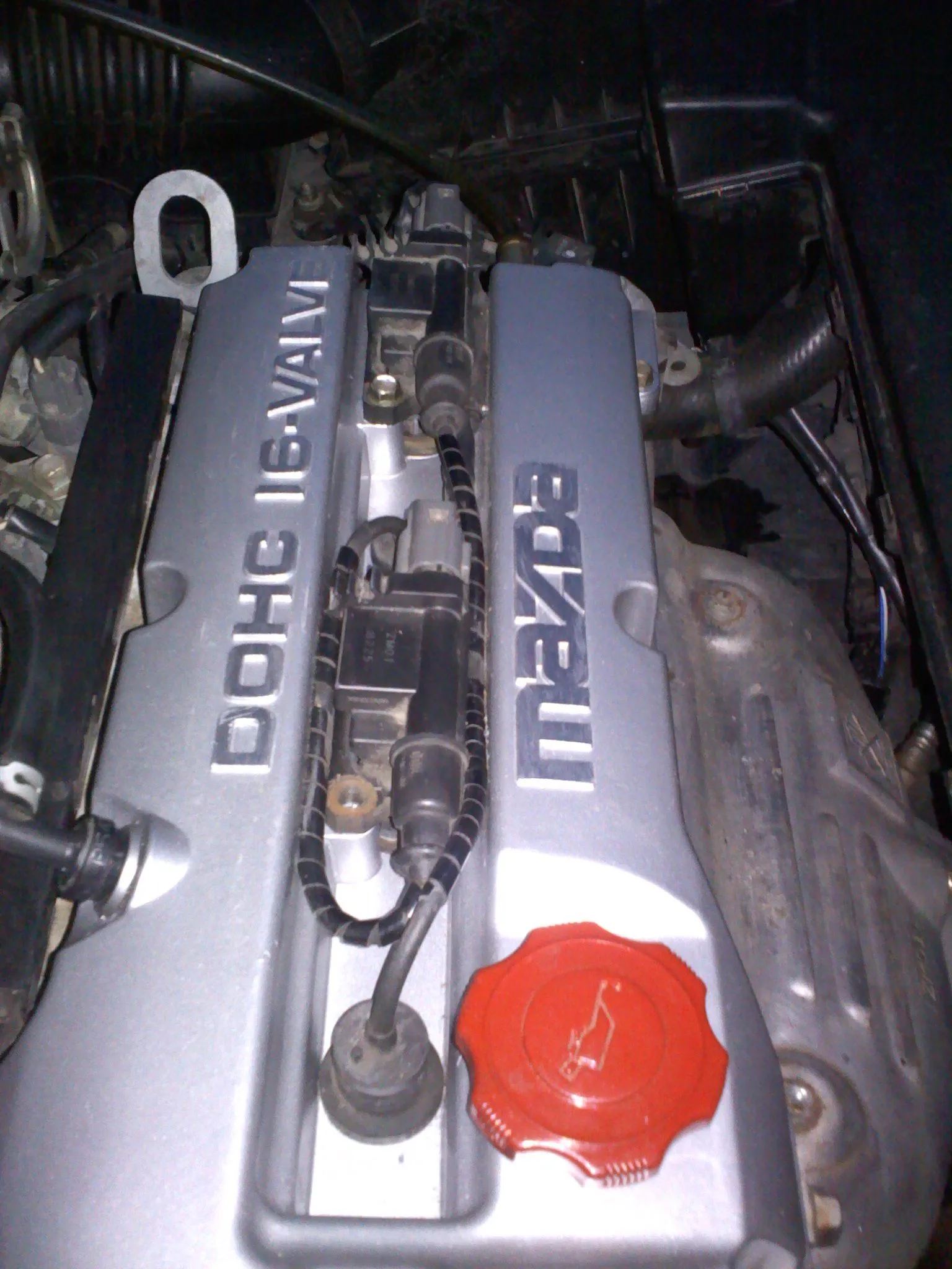 20110215175436.jpg