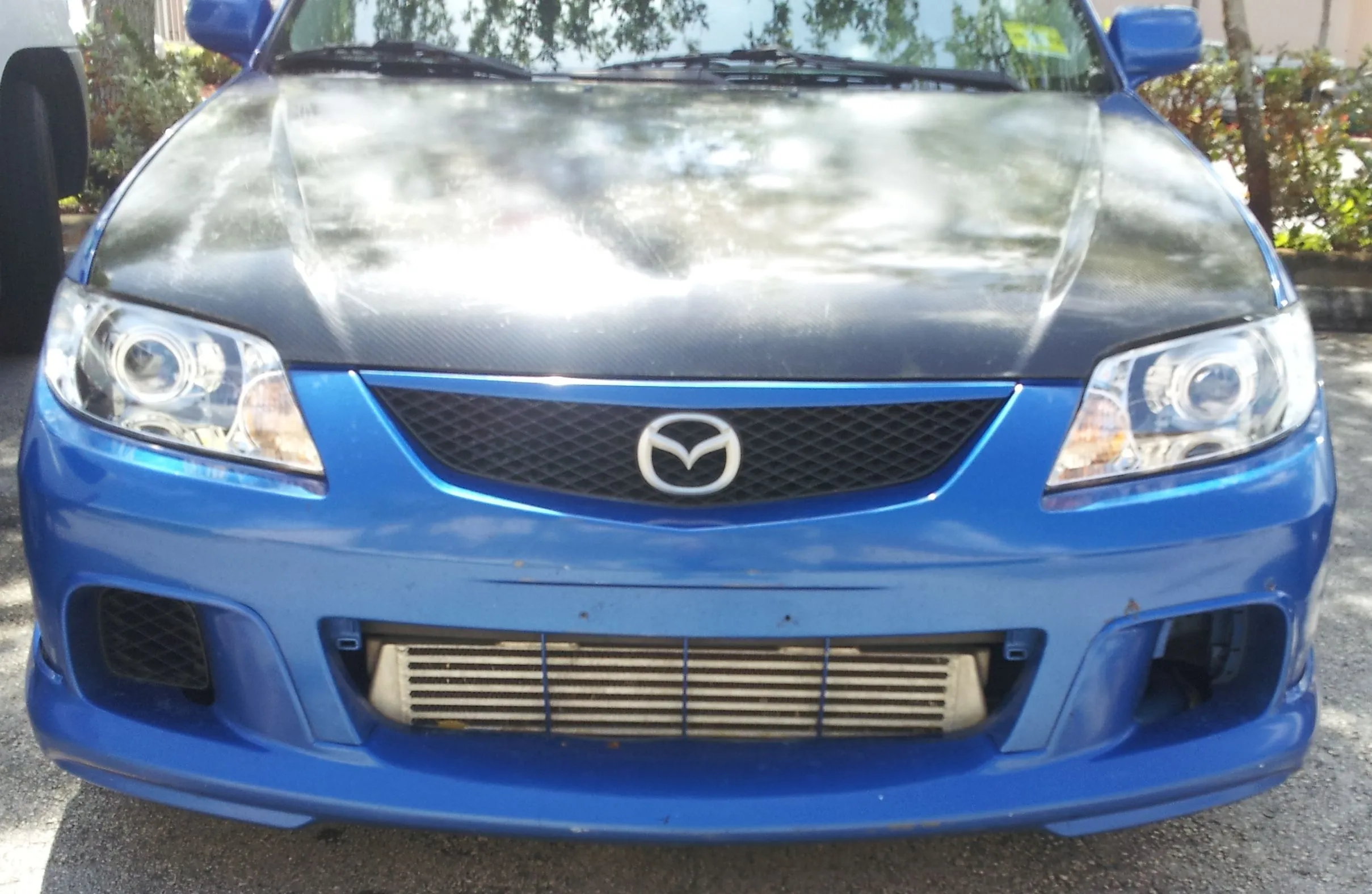 20120312_120813.jpg