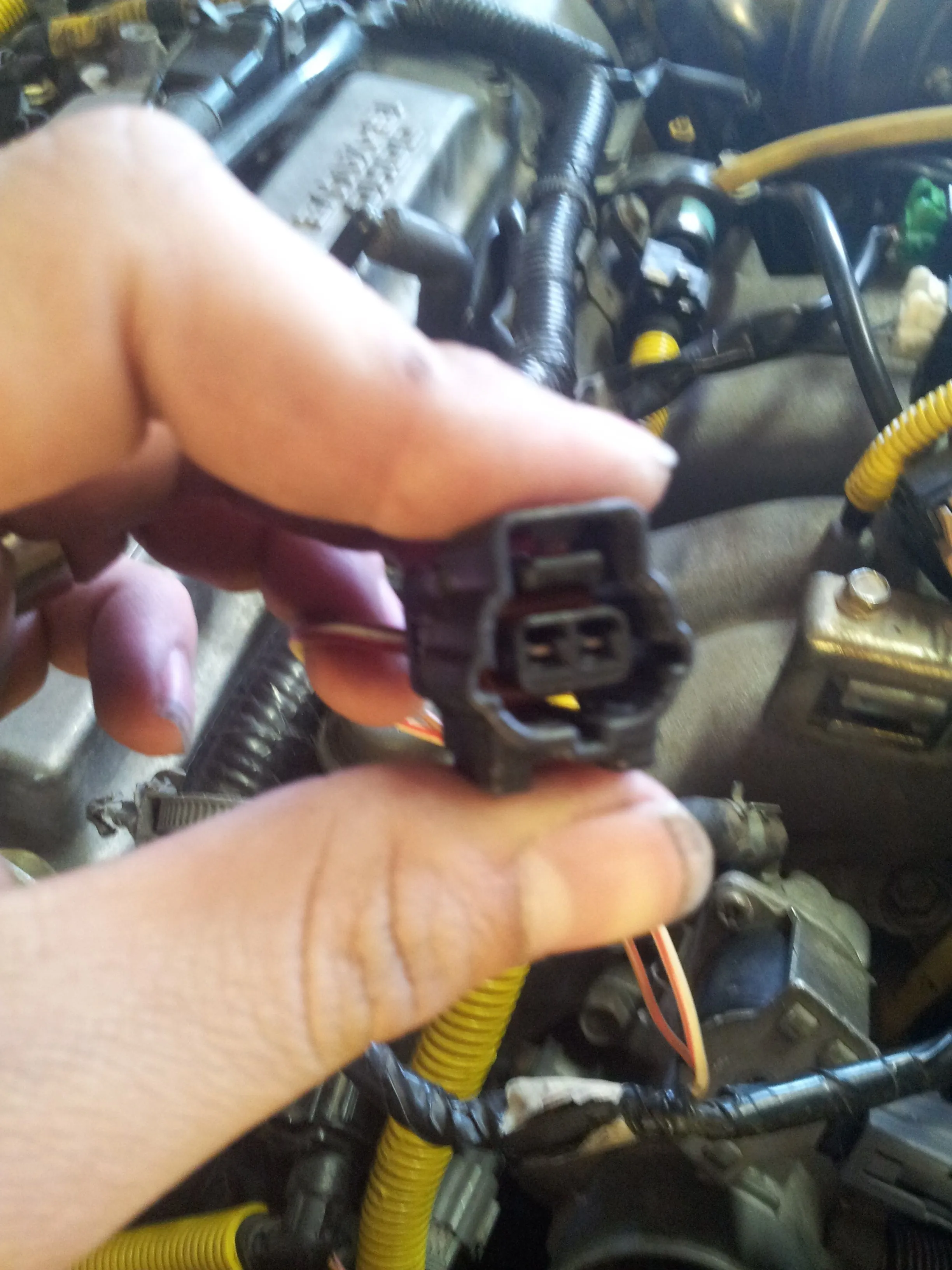 20130410_135738[1].jpg