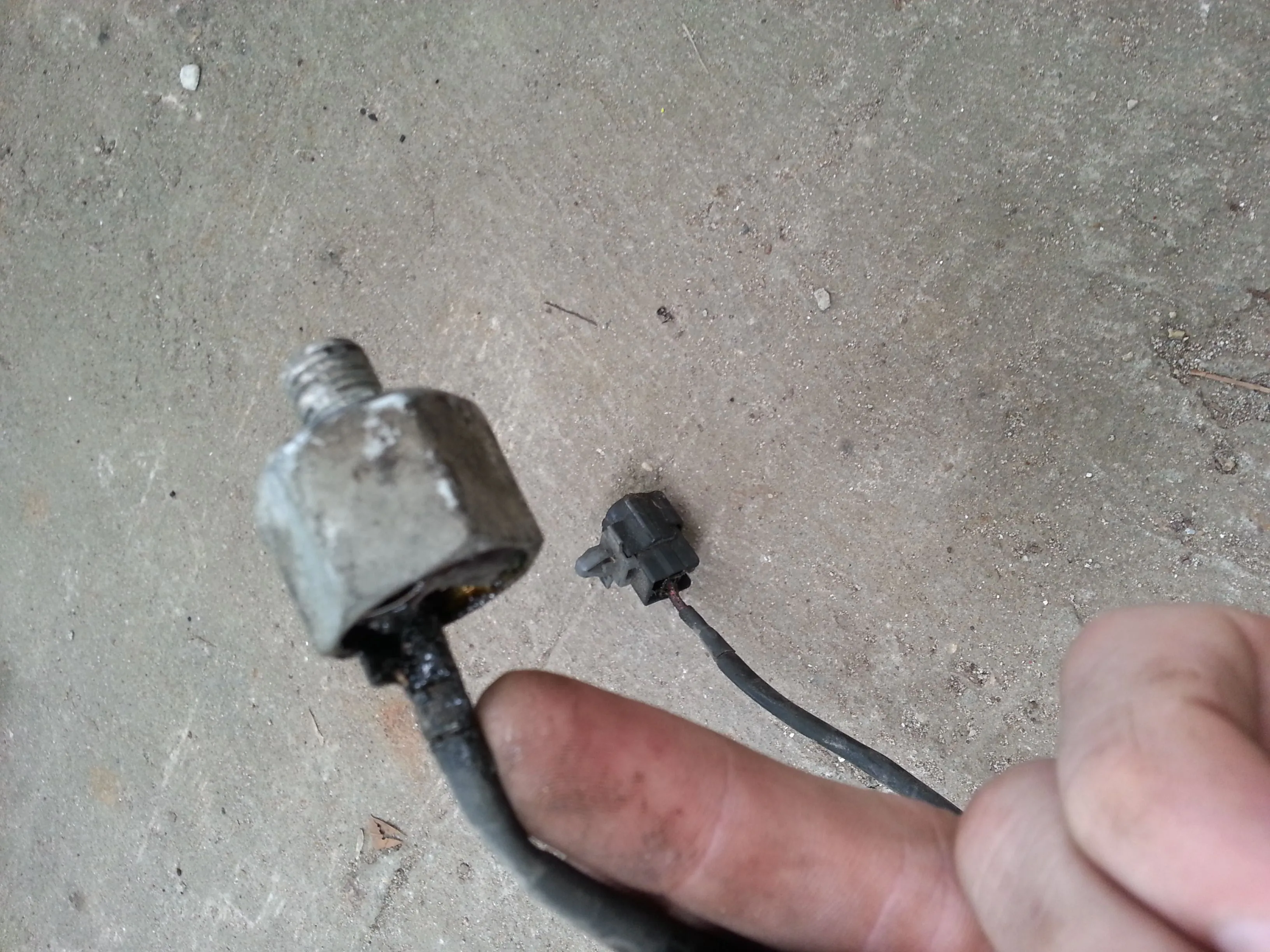 20130728_134208.jpg