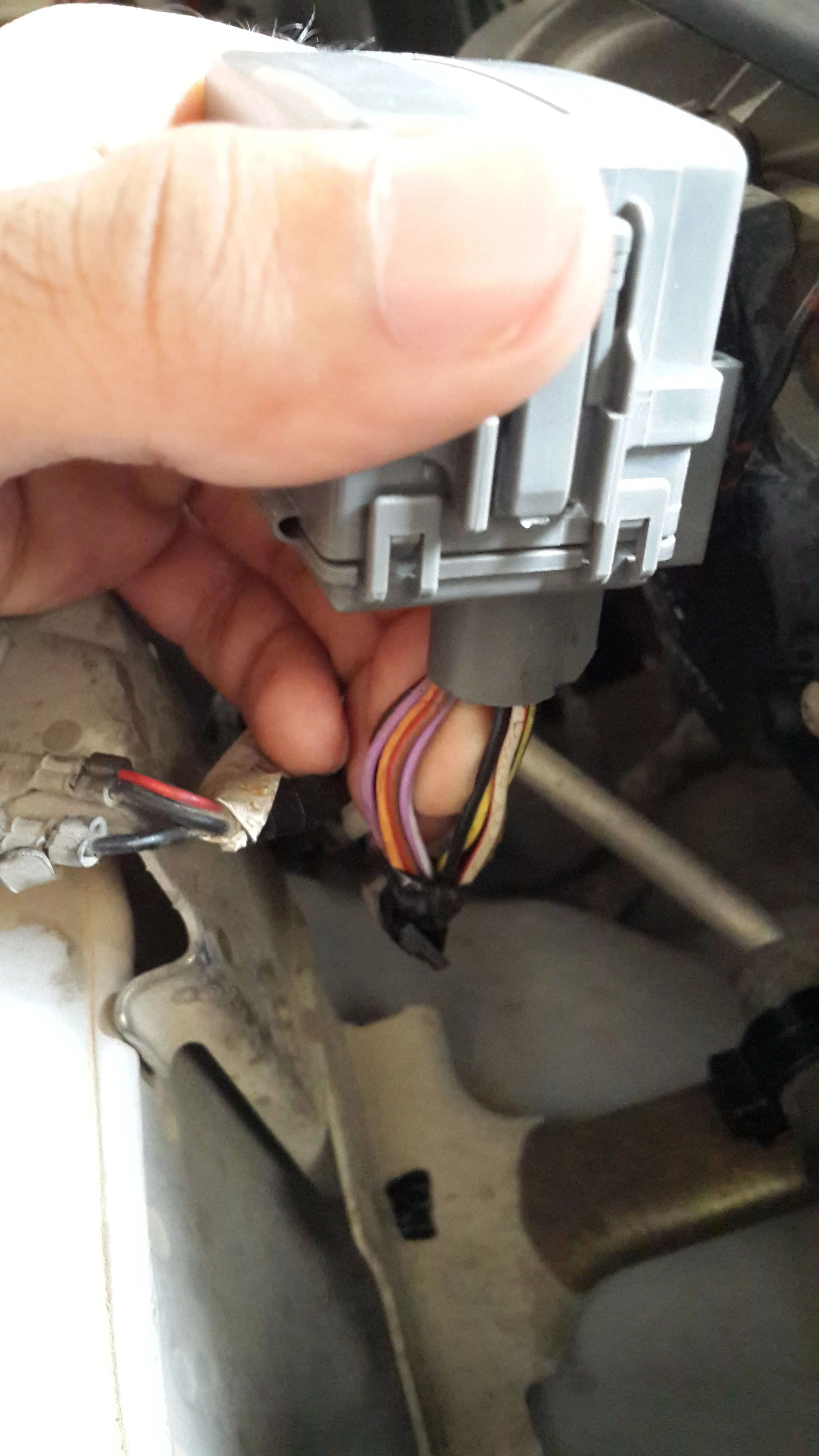 20131012_083733.jpg