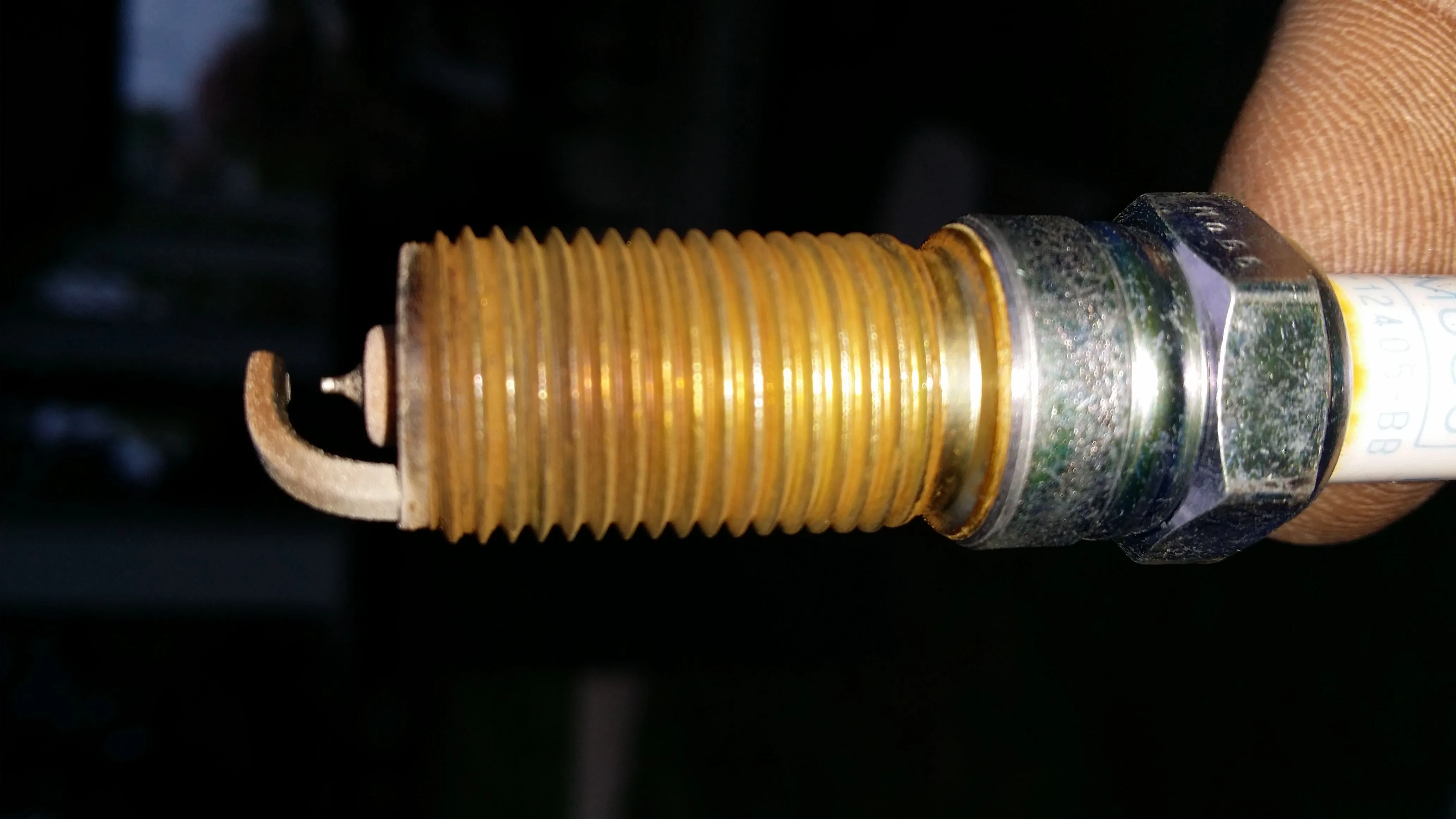 20150411_073932.jpg