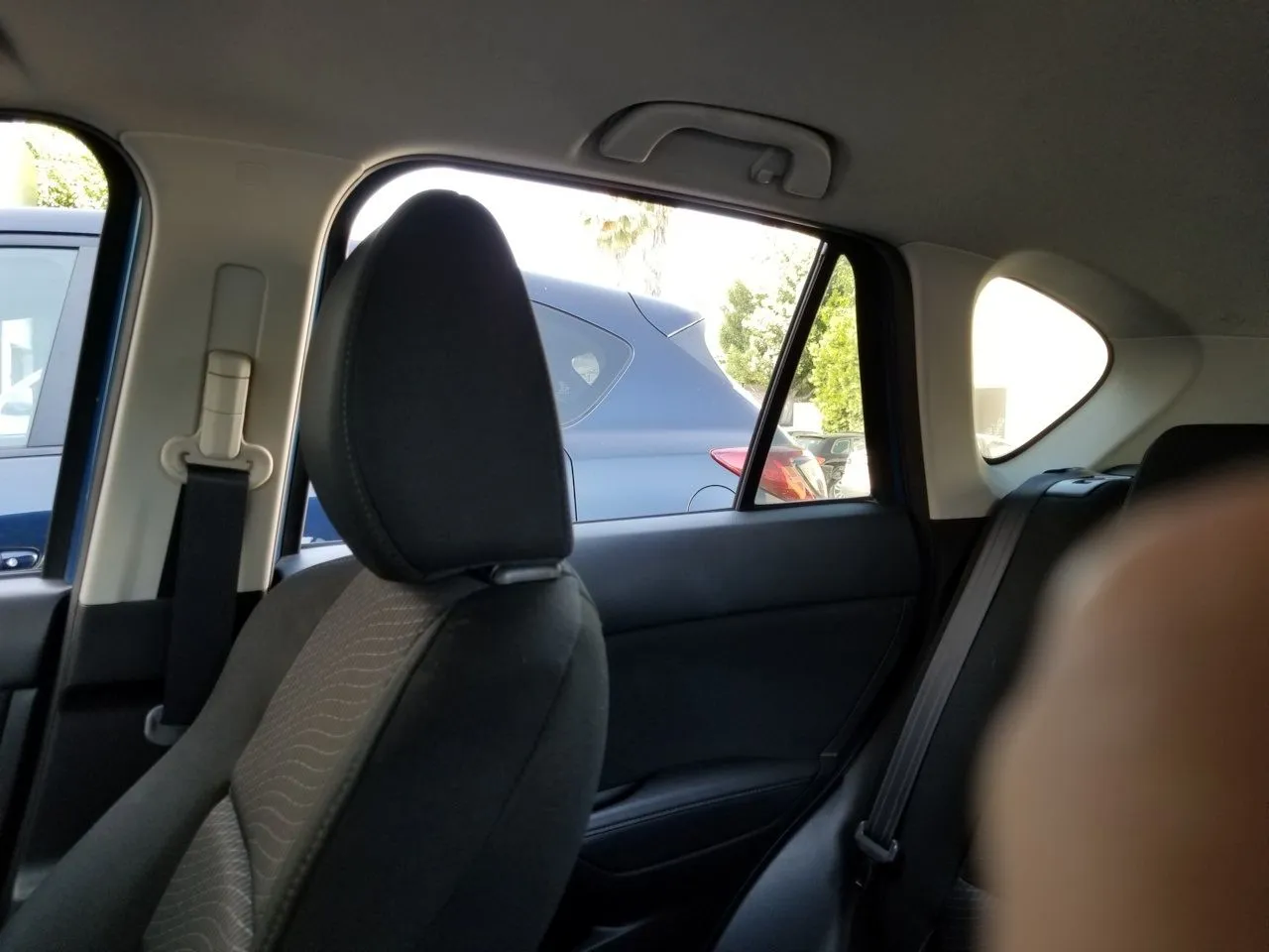20180615_155428.jpg
