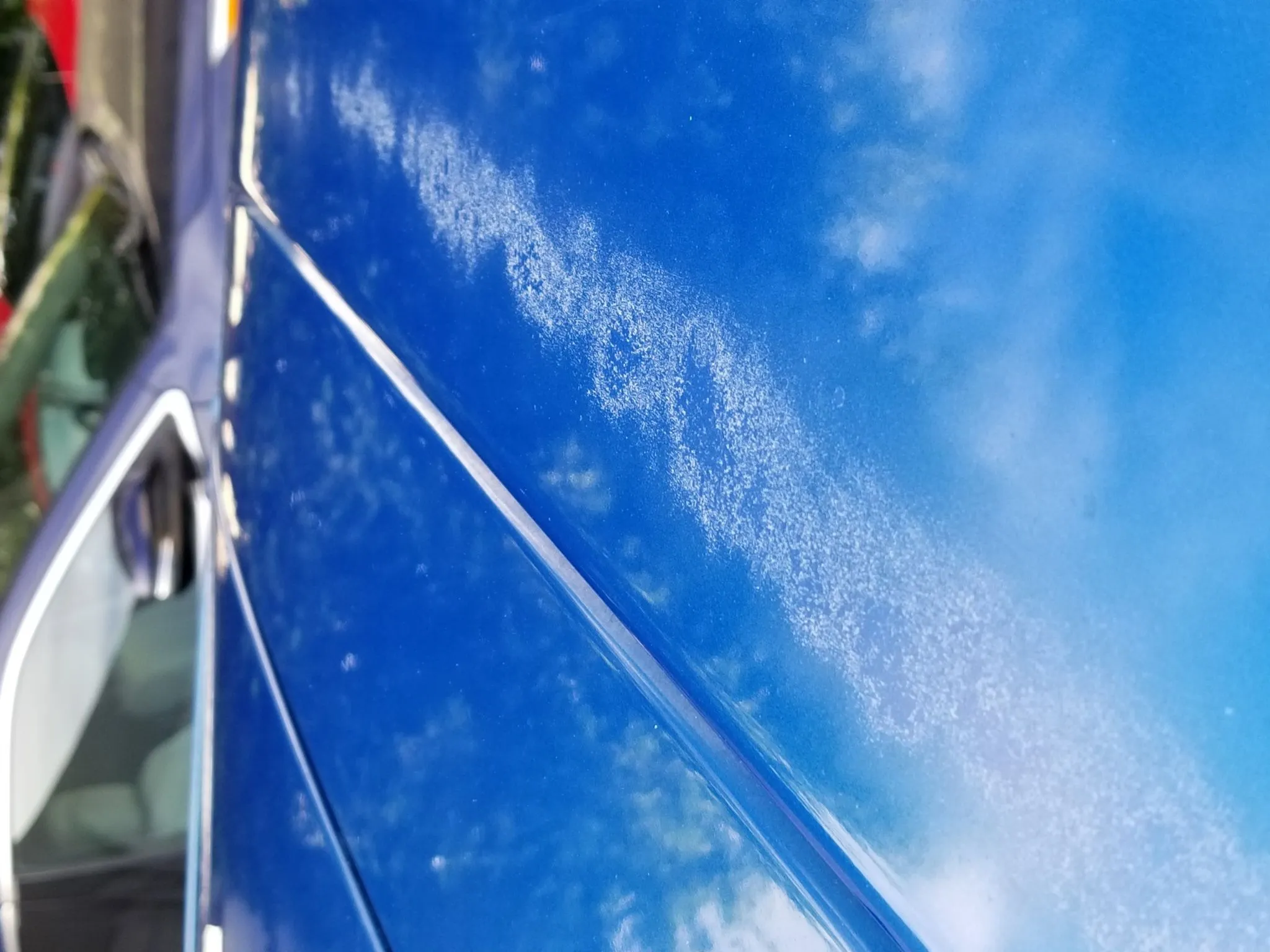 20180830_161726.jpg