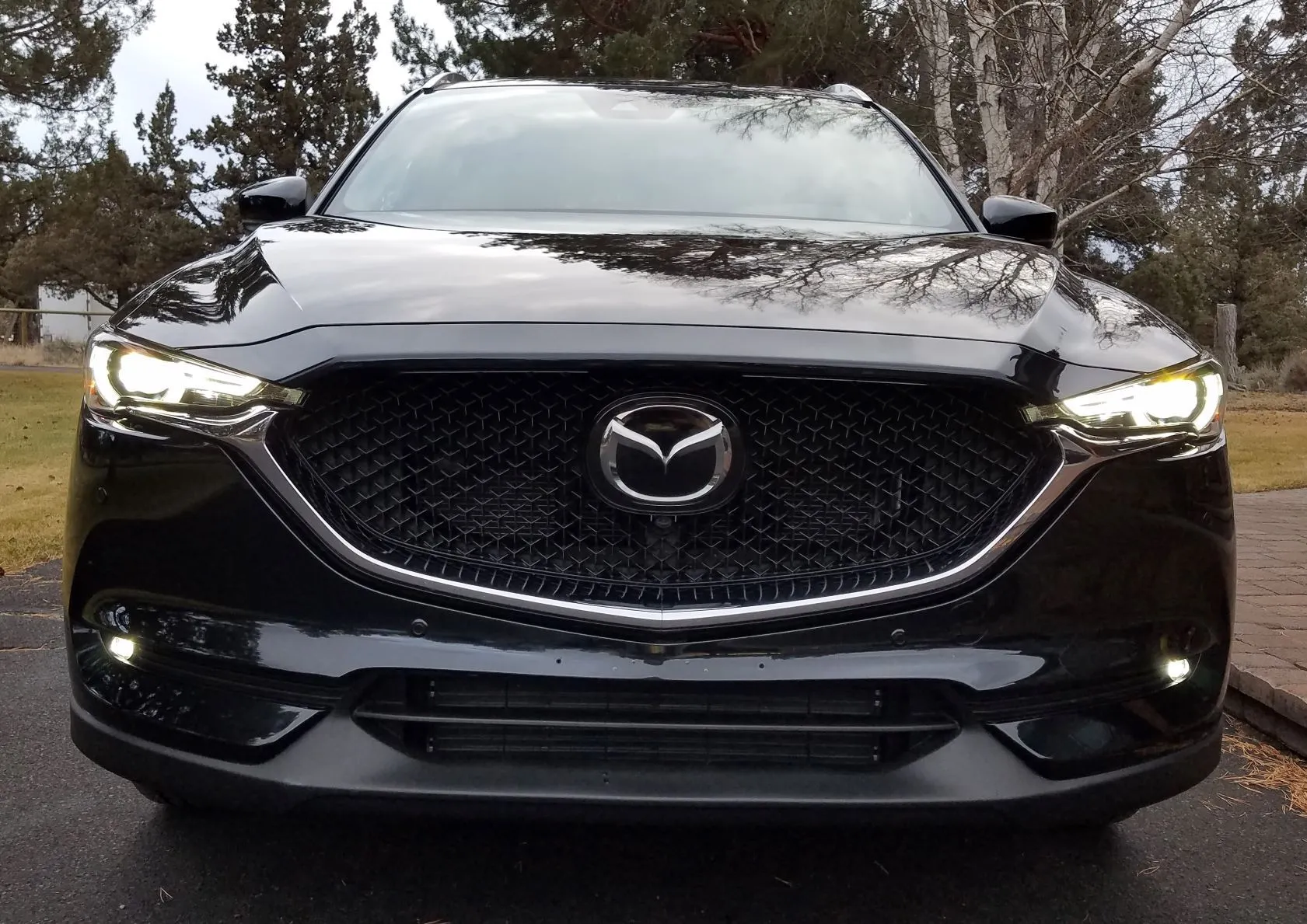 20181217_front 2mp.jpg