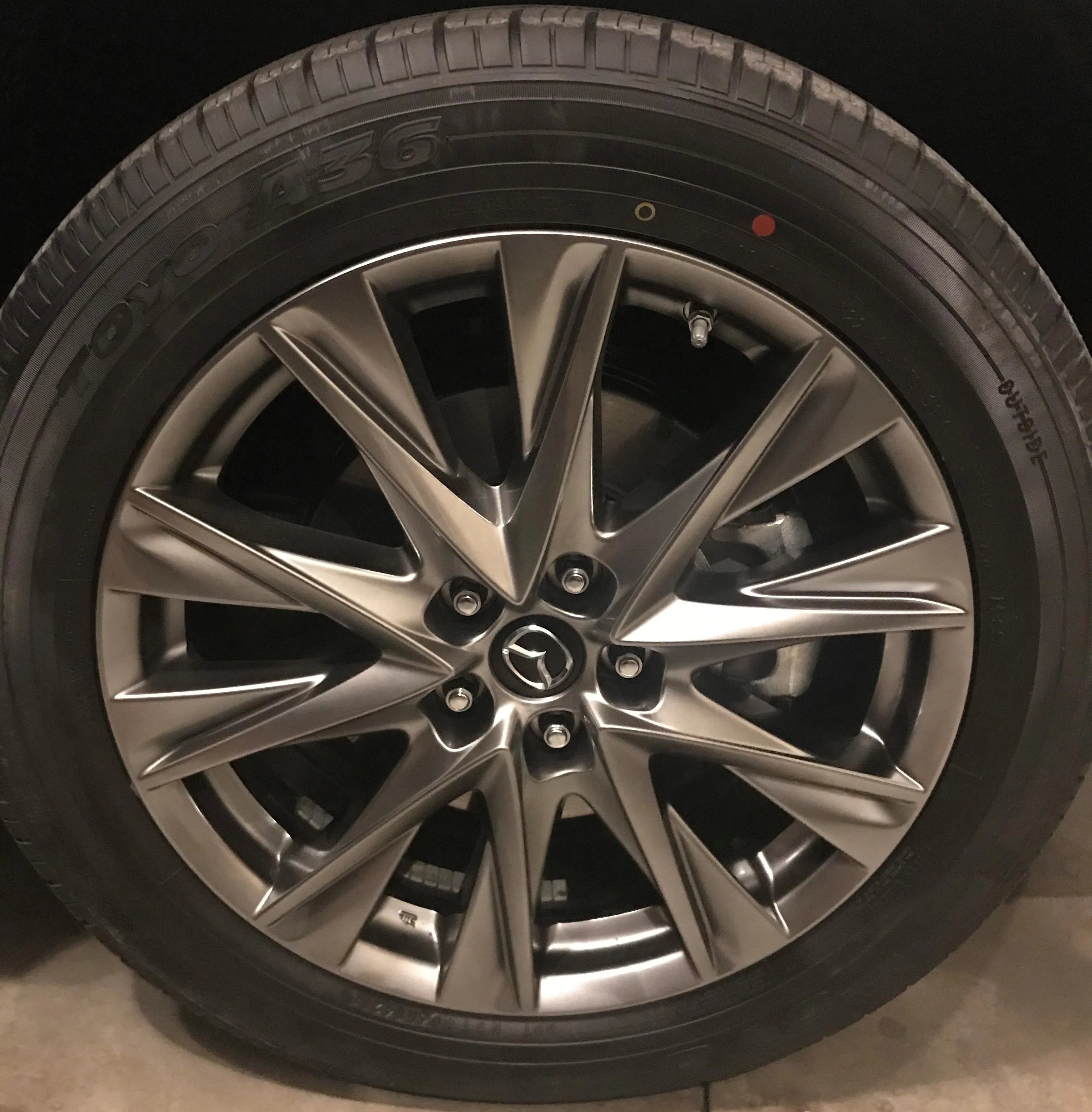20190107_013853378_iOS (2).jpg