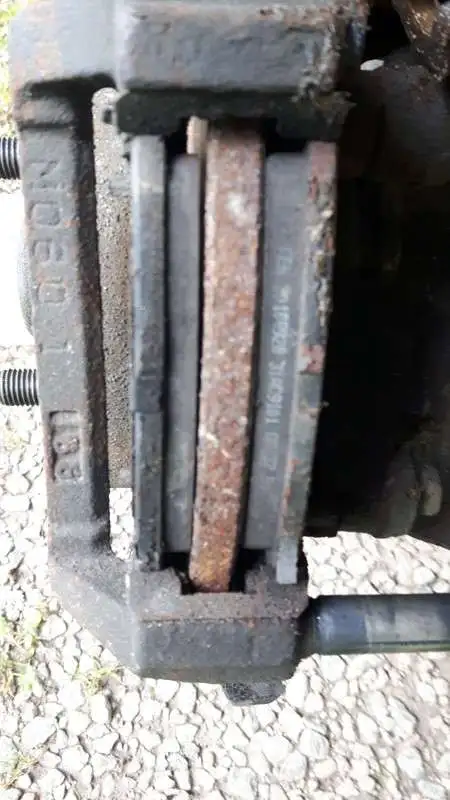20191007-104328.jpg