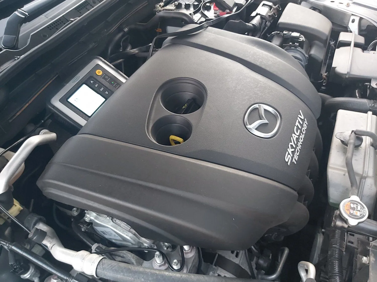 20200925_184436.jpg