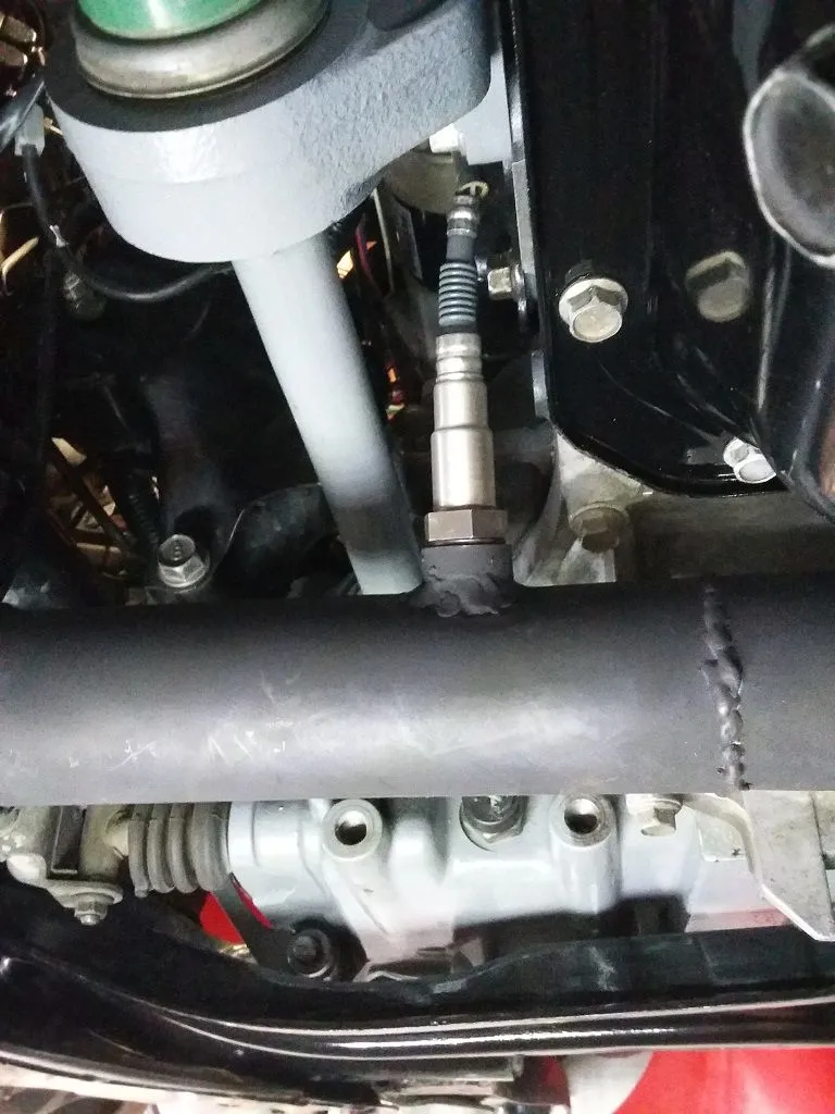 20201017_155146.jpg