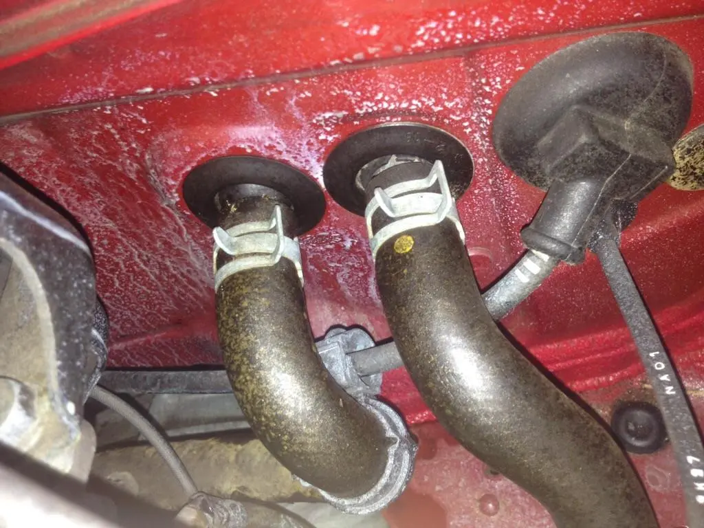 2021-06-21 (15).webp