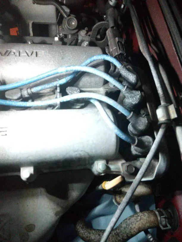 2021-06-21 (18).webp