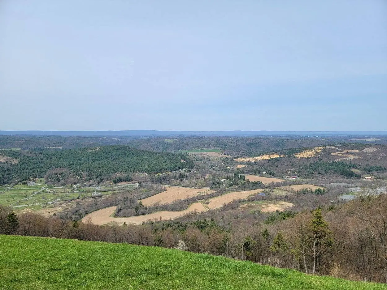 20210424_135533.jpg