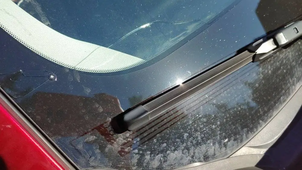 20210625_090021.jpg
