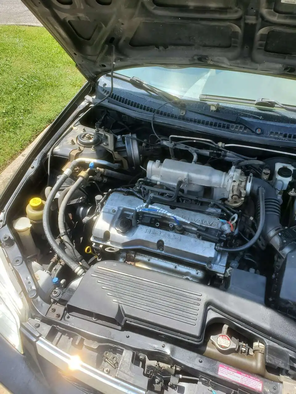 20230528_143541.jpg