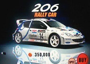206rally.jpg
