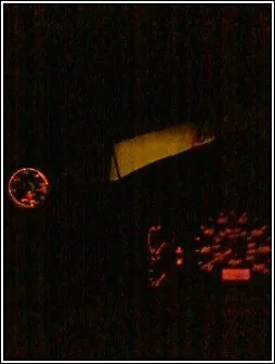 26380976901_330_1.jpg