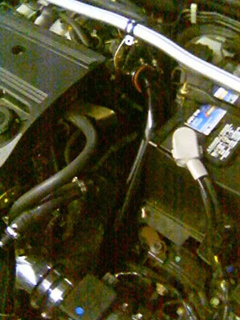 40162049413.jpg