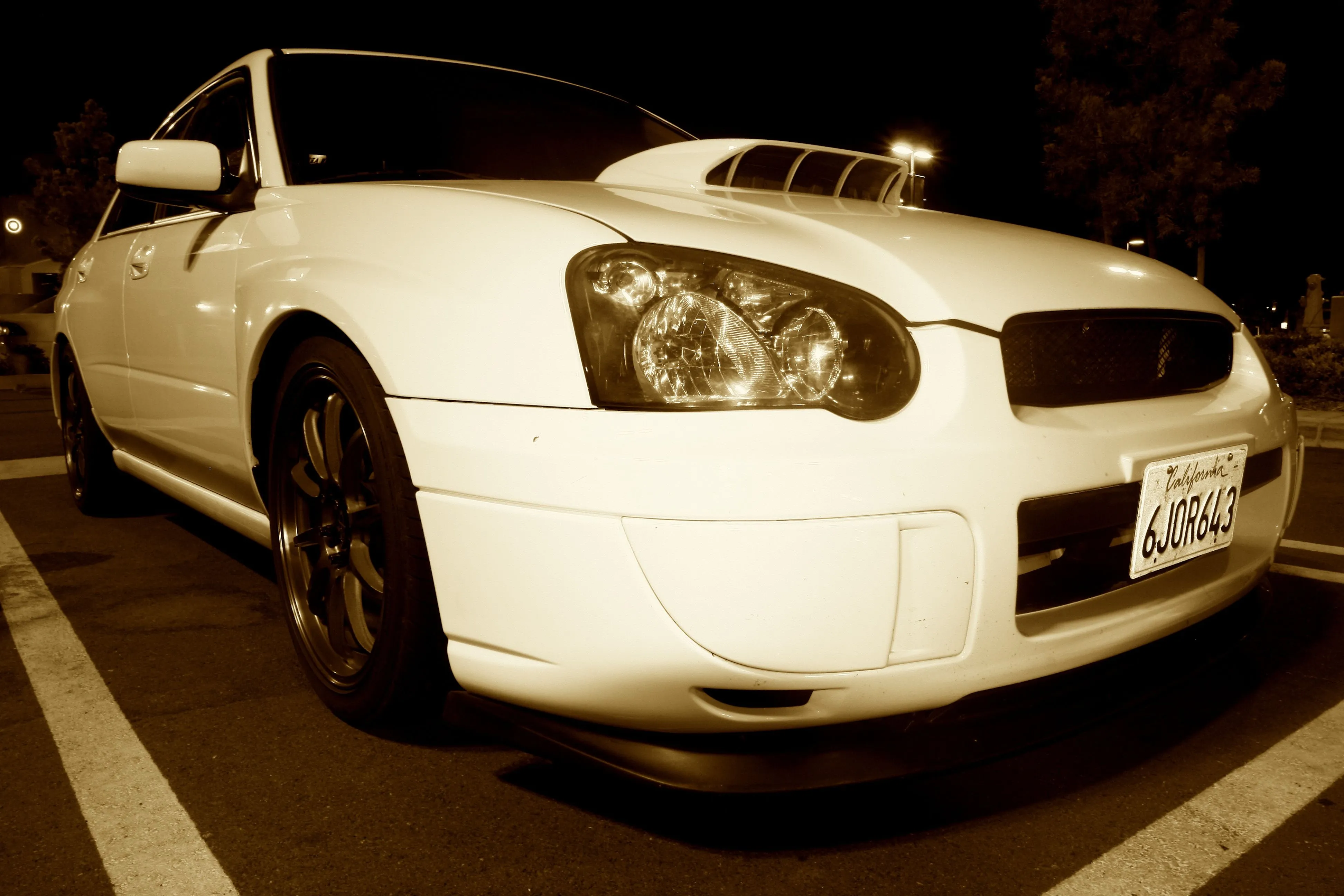 5.webp