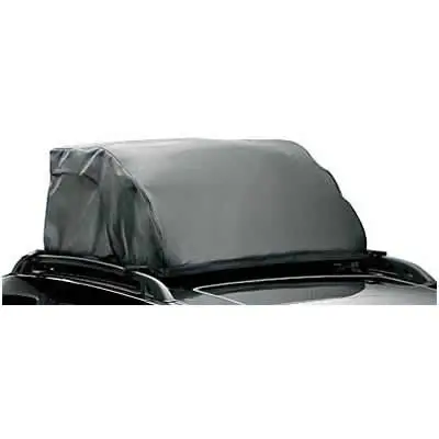 601015-car-top-bag_large.jpg