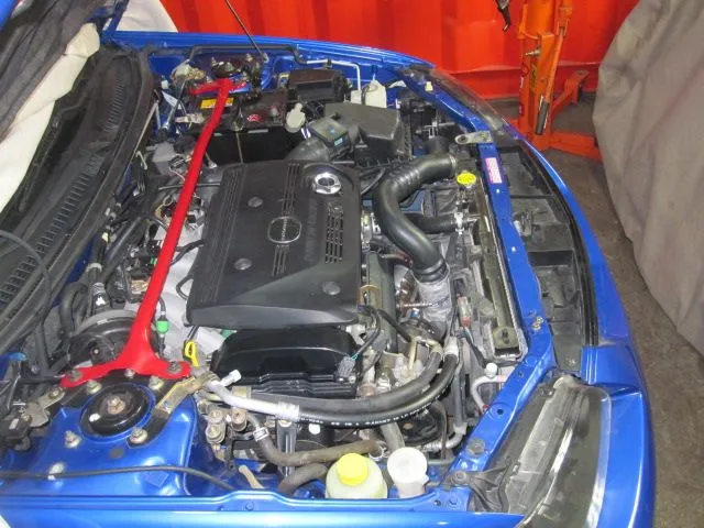 68 trans together 003.webp