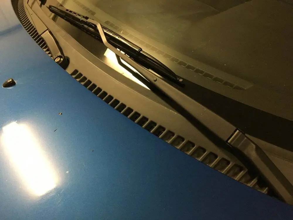8EF1DA83-EF06-4381-A034-A8E7245E809E.jpeg