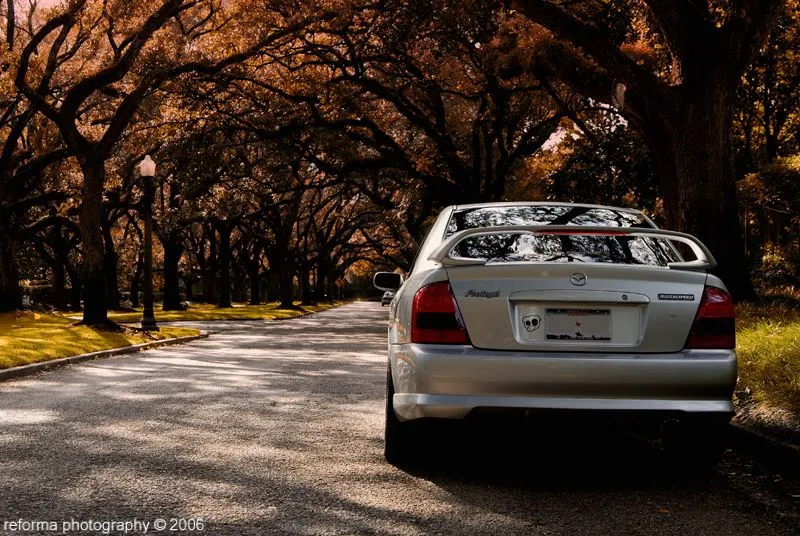 _DSC0025.webp