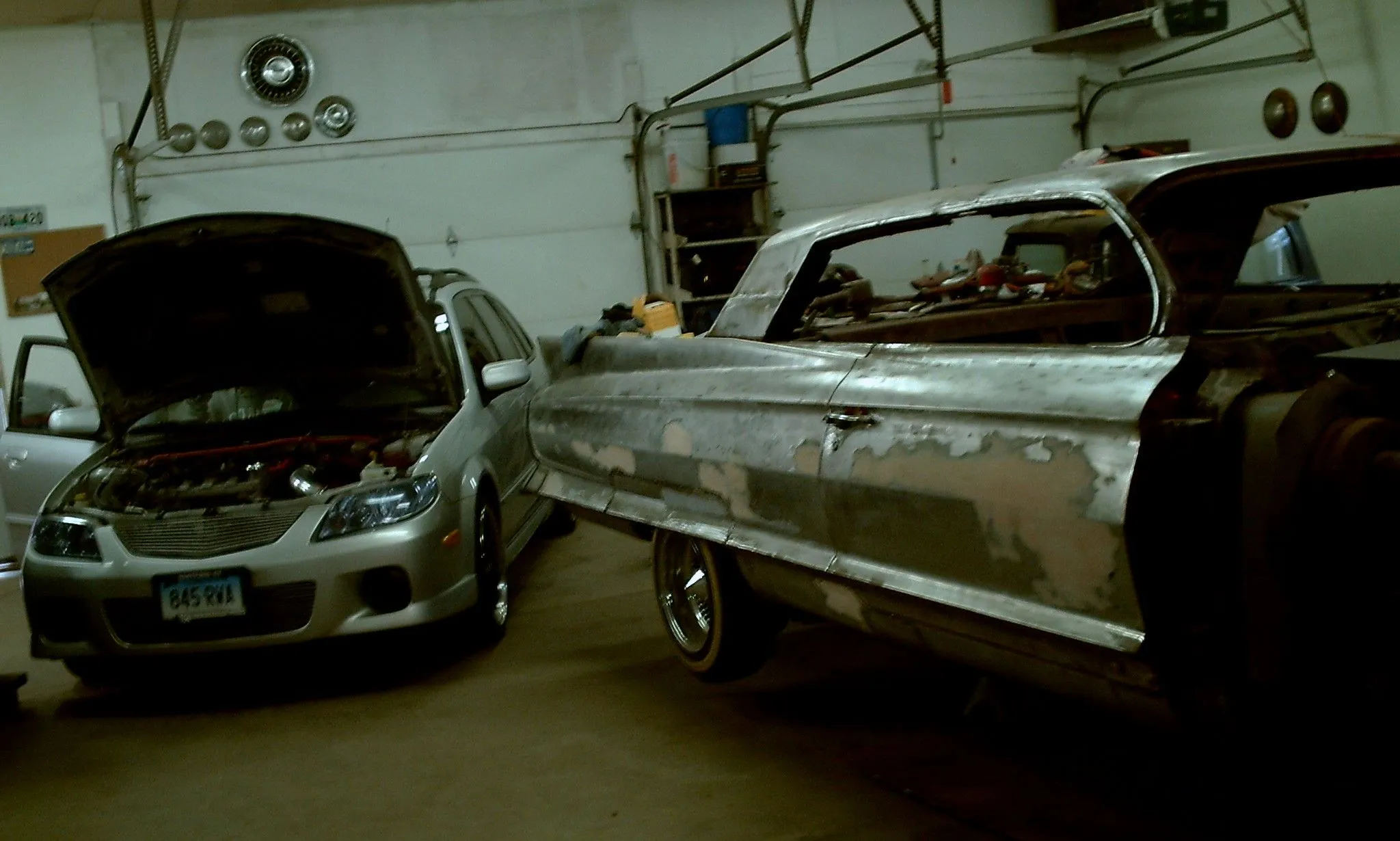 Alpha and the caddy.JPG