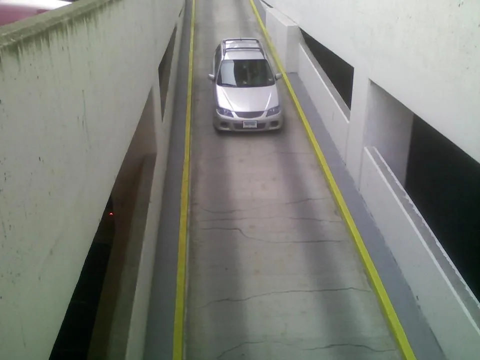 alpha in the garage.jpg