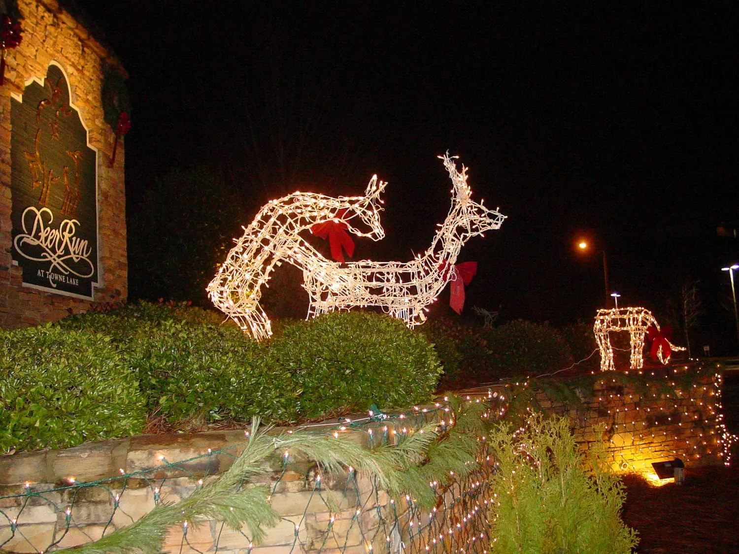 anglea cheer and jason's deer 012.webp