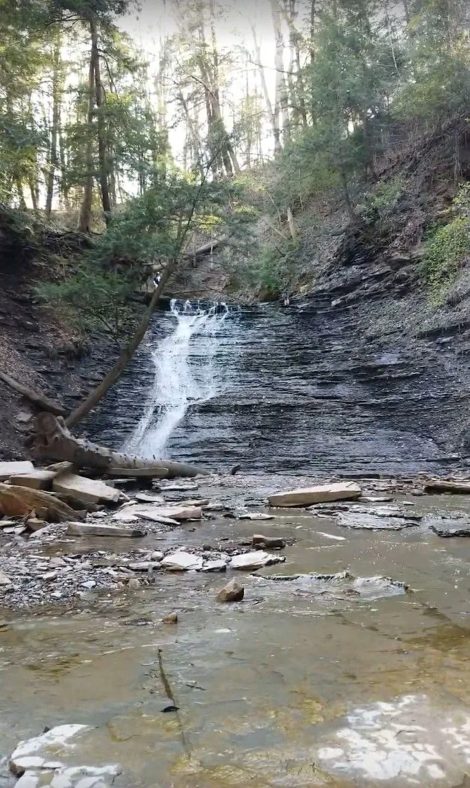 Annotation 2020-05-17 005817.webp