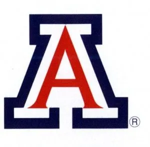 arizona-block-300x294.jpg