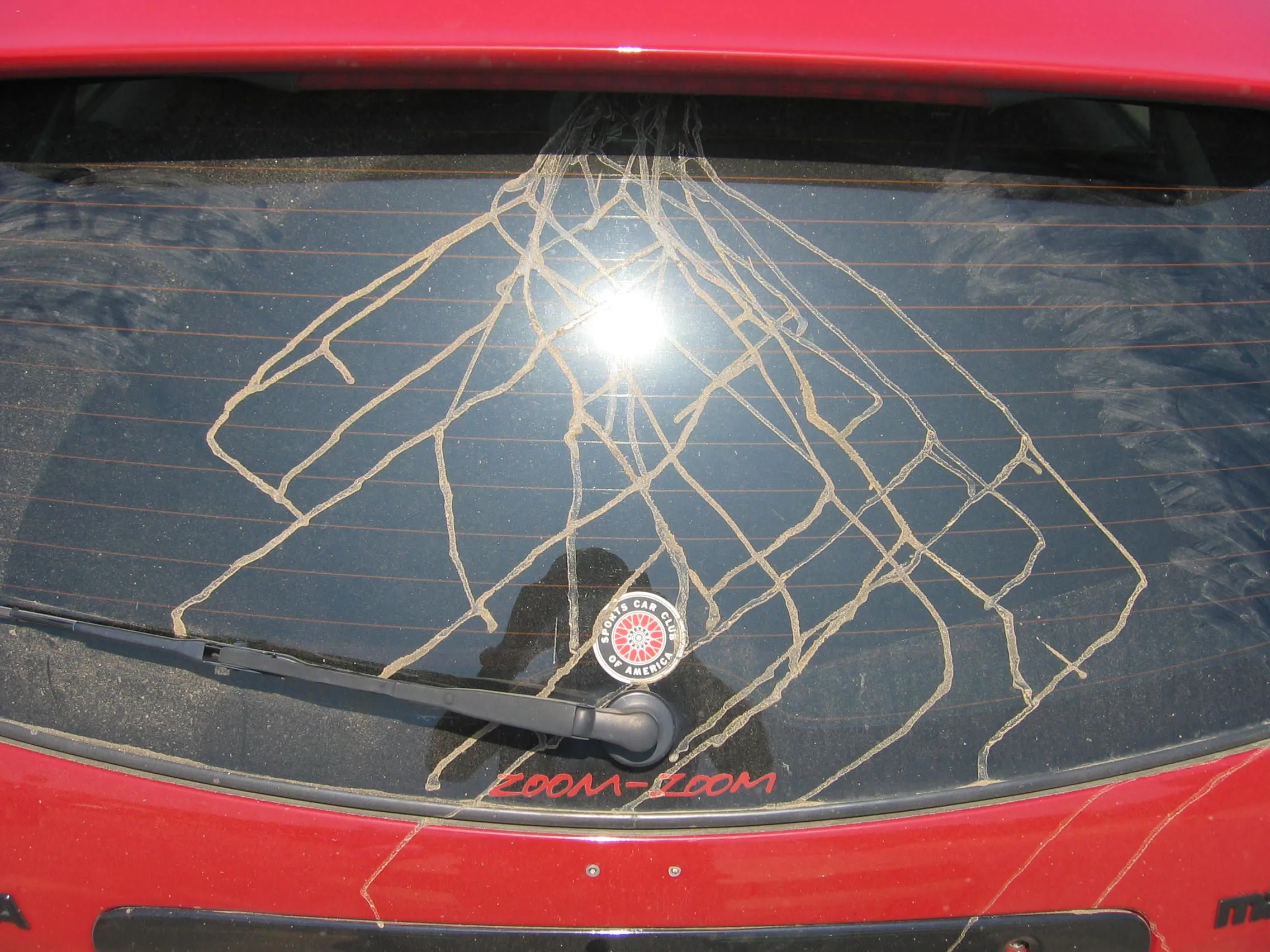 autoxsept 008.webp