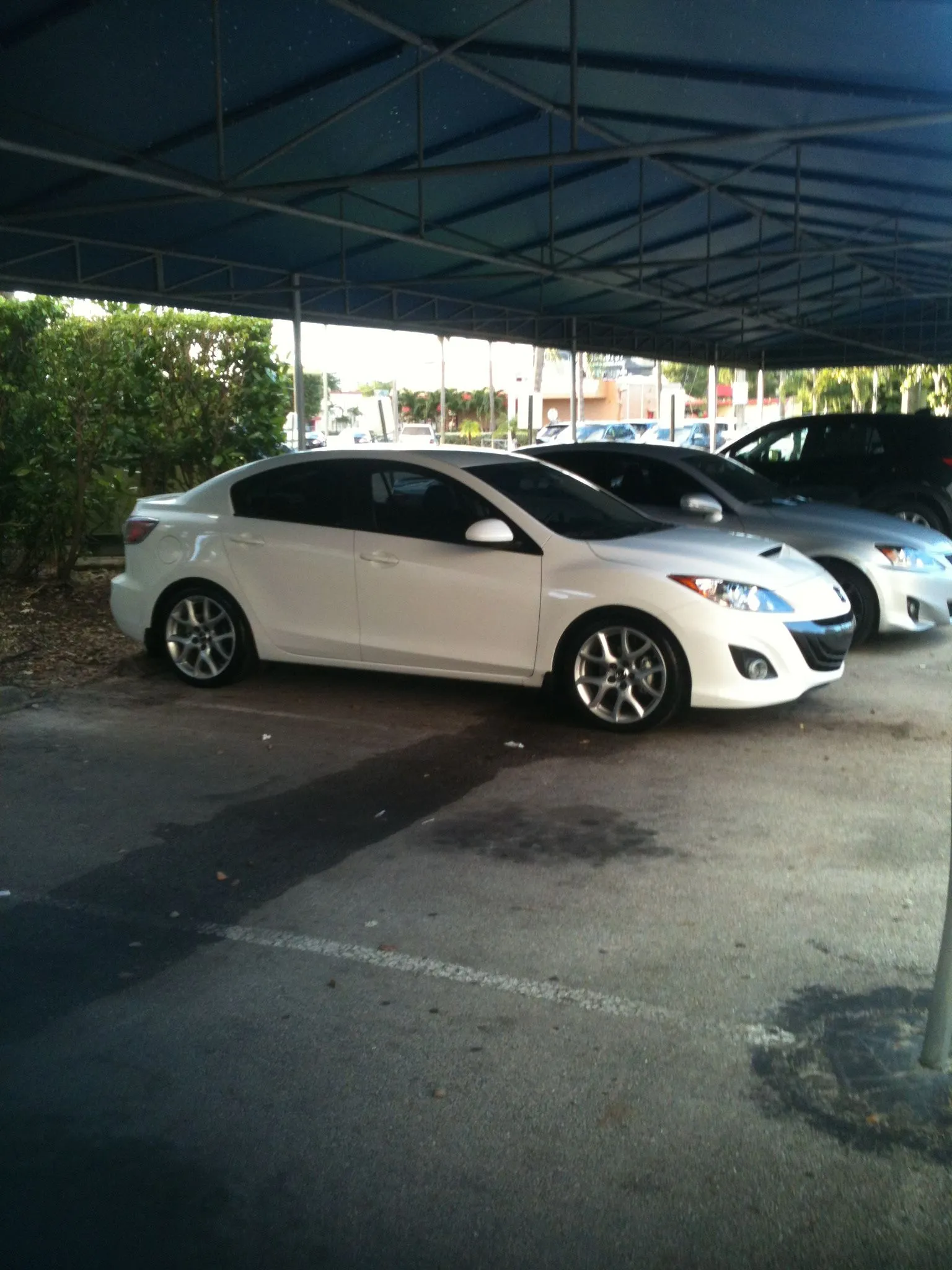axela 001.jpg