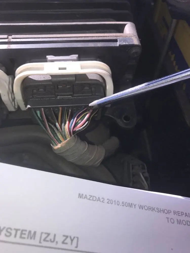 B70199E2-E655-41E4-99AC-BE8656B29A2D.jpeg