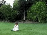 babyowned.webp