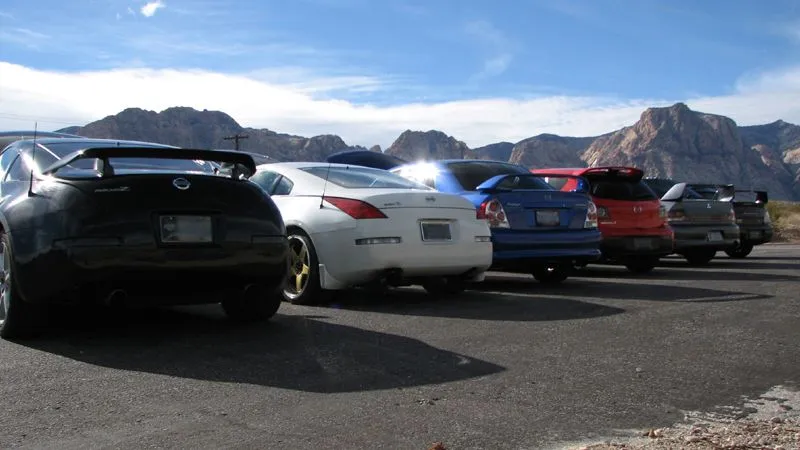 back lined up.webp