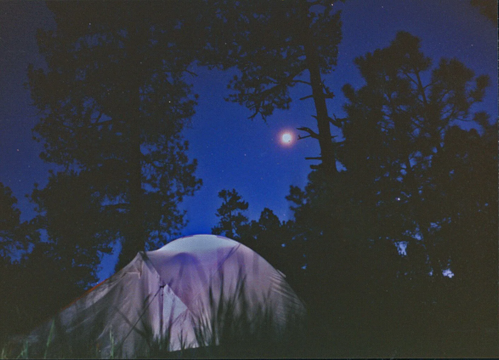 backpacking3.webp