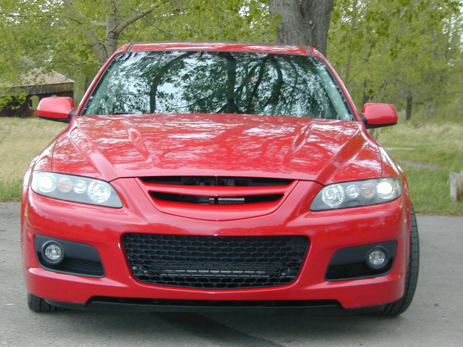 badgeless grille 1.JPG