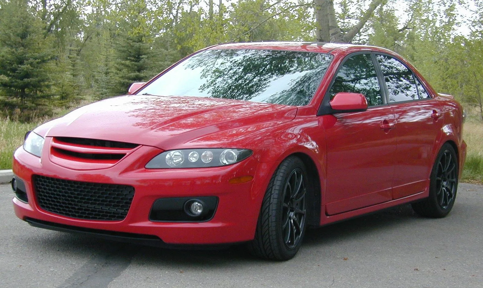 badgeless grille 3.JPG