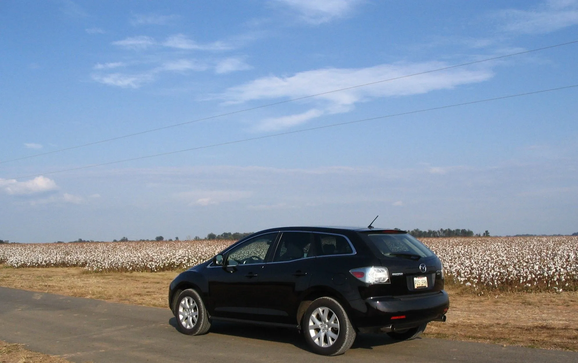 bcm in cotton field.JPG
