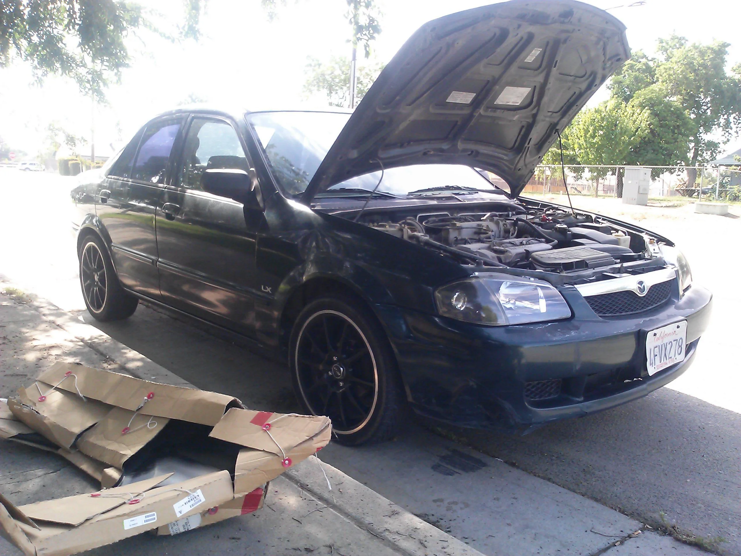 before.jpg
