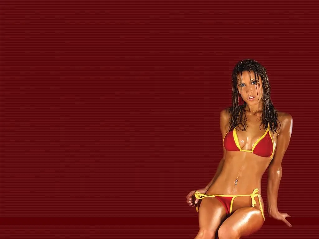 bg.webp