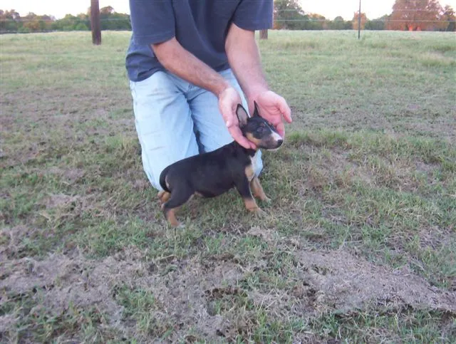 Big_Oaks_Ranch_336.webp