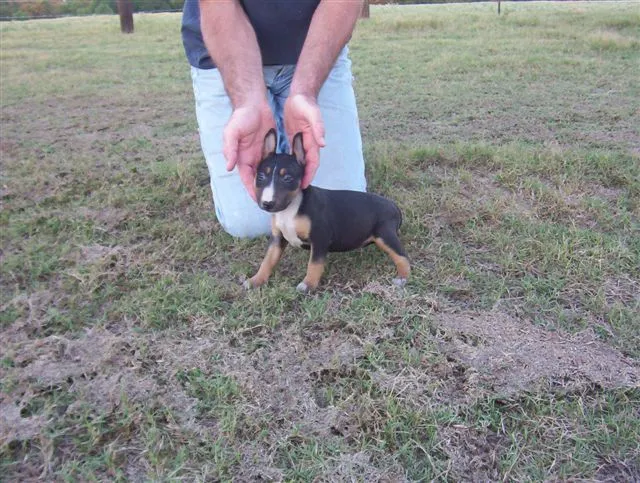 Big_Oaks_Ranch_337.webp