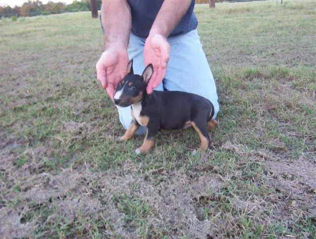 Big_Oaks_Ranch_338.webp
