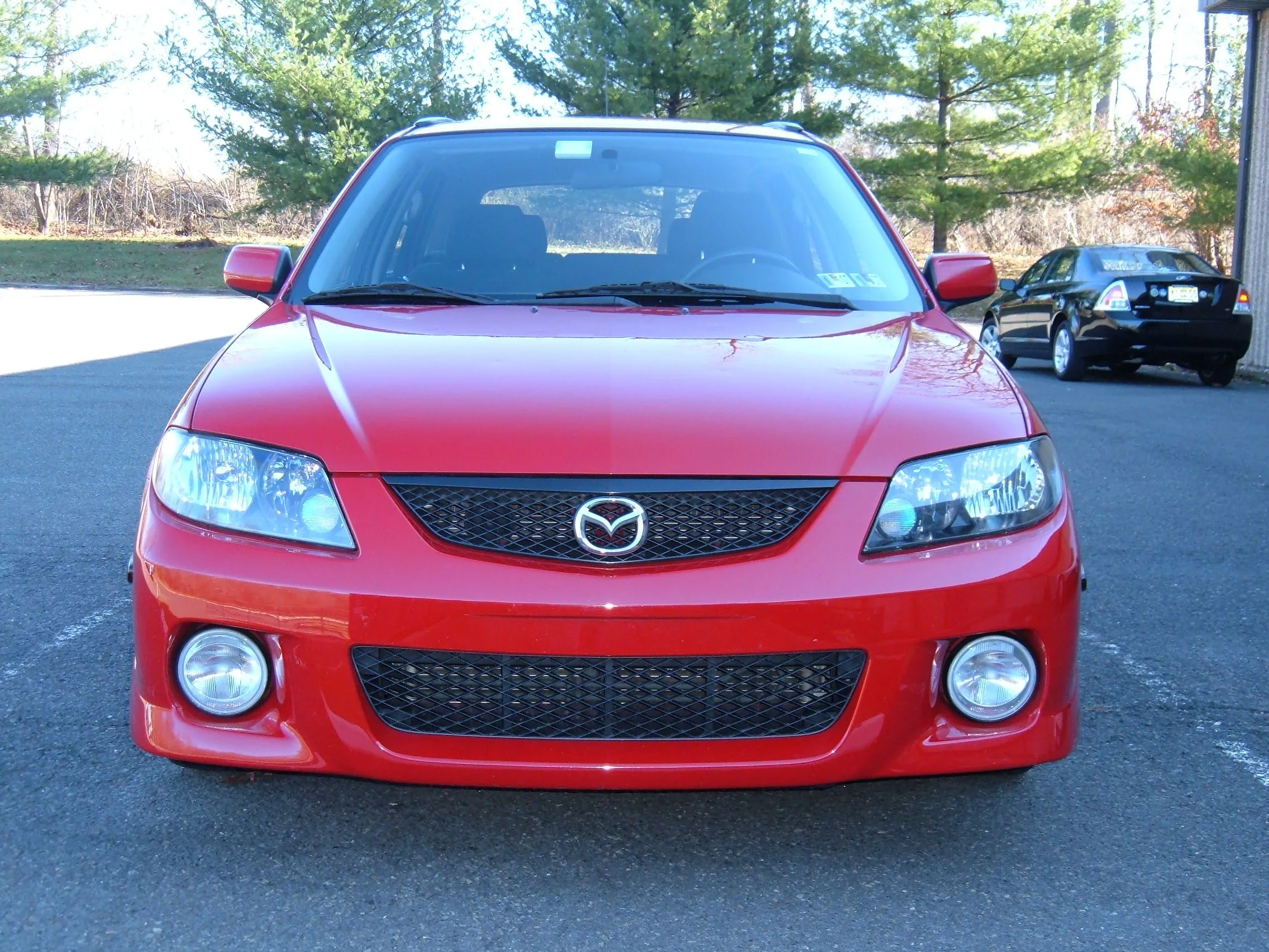 Black Headlights wo Eyelids.jpg
